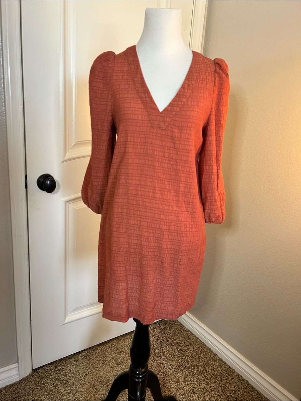 BB Dakota by Steve Madden Rust Textured V-Neck Puff Sleeve Mini Dress